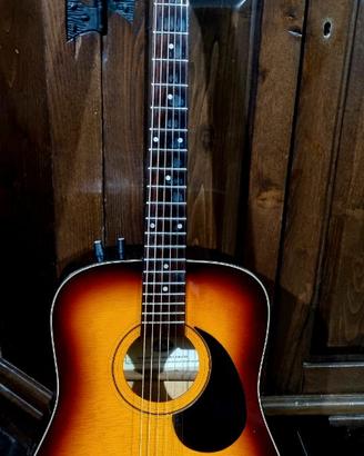 Chitarra acustica Eko elettrificata + custodia