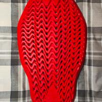 Paraschiena Alpinestars Nucleon Plasma