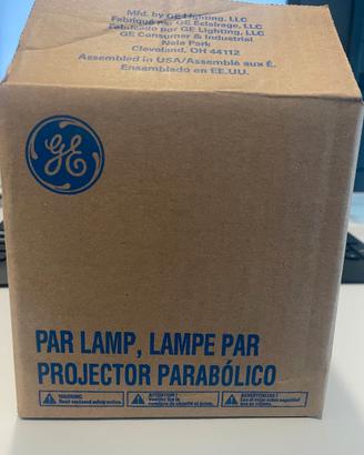 GE 300PAR56/WFL Lampada