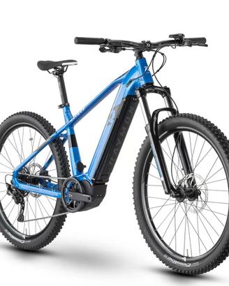 e bike raymon