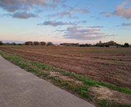 Terreno agricolo