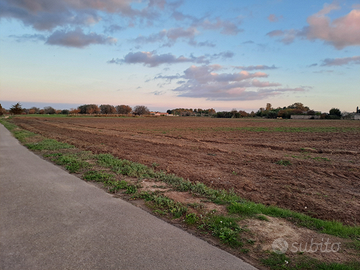 Terreno agricolo