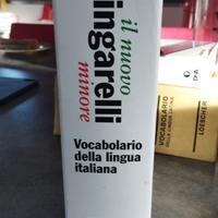 vocabolario della lingua italiana
