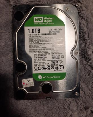 Hard Disk WD Green Caviar 1TB come nuovo