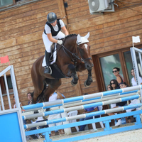 Cavallo salto ostacoli