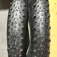 Copertoni Micheline MTB