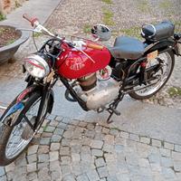 Gilera Altro modello - 1953