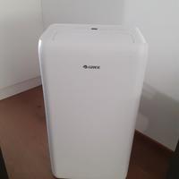 Condizionatore pinguino portatile
