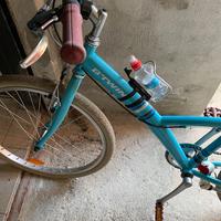 bicicletta