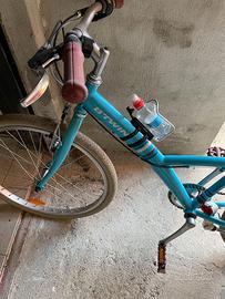bicicletta