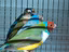 Immagine 2