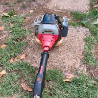 DECESPUGLIATORE 26cc