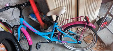 Bicicletta da 20 