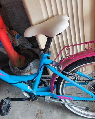 Bicicletta da 20 