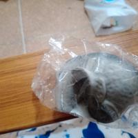 mosasauro  squishy 