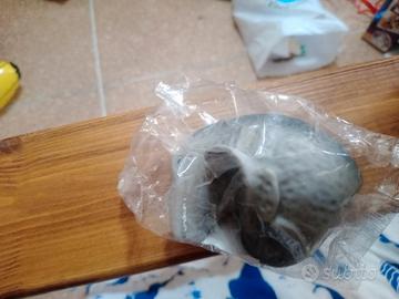mosasauro  squishy 