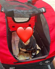 Carrellino bici trasporto cane