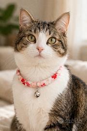 collare animale domestico 