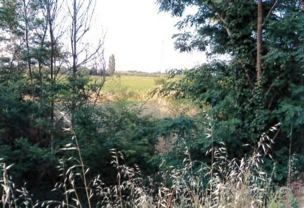 Immobile in asta di 5760 m² a Piacenza - Vista 2