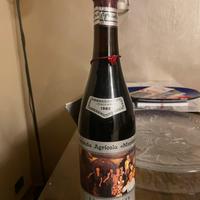 Bottiglia Barolo 1982