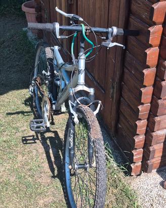 Bici da sistemare