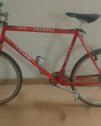 bicicletta pinarello da corsa vintage