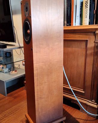 Casse Proac Response D15