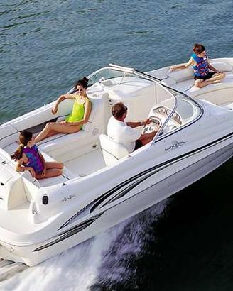 Searay 210 sundeck