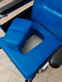 Sedia a rotelle