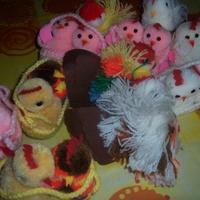 Pulcini e galline 