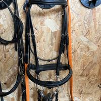 briglia per cavallo / equitazione