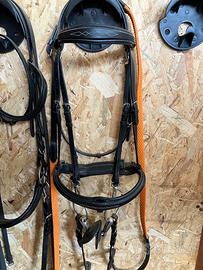 briglia per cavallo / equitazione