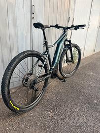 Bici elettrica