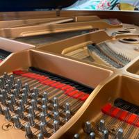 YAMAHA C3 perfetto