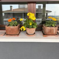 Serie vasi terracotta