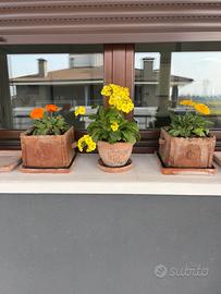 Serie vasi terracotta