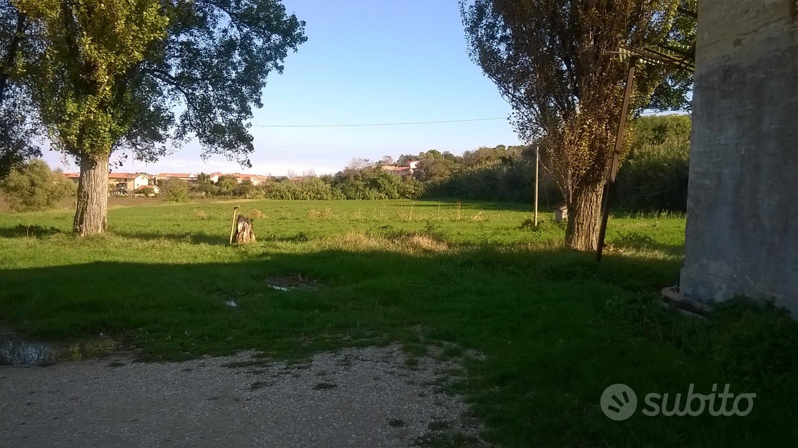 Terreno agricolo - Vista 4
