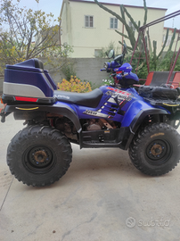 Quad Polaris Sportsman 500Ho