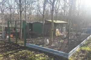 Terreno con capannoni recintato voliera