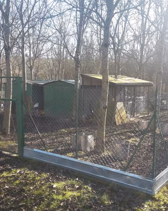 Terreno con capannoni recintato voliera