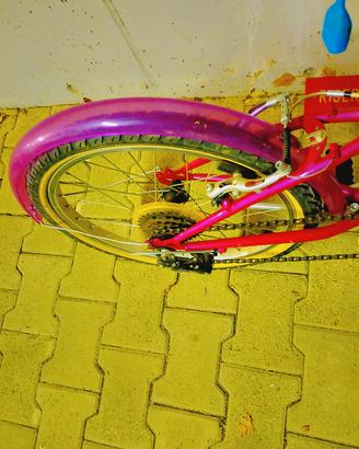 bicicletta per ragazze 