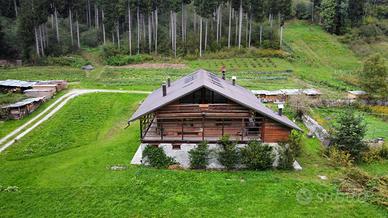 La tua estate in comelico