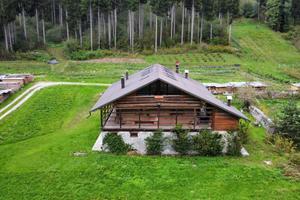 La tua estate in comelico