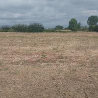 Terreno agricolo Prato Ovest / Casale