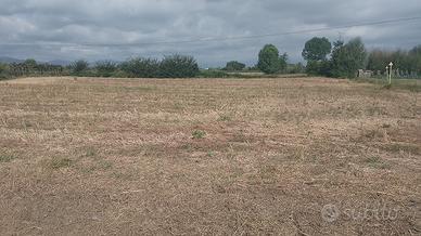 Terreno agricolo Prato Ovest / Casale