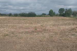 Terreno agricolo Prato Ovest / Casale