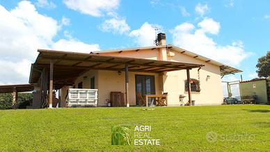 Tenuta agricola di 19 HA con B&B e kiwi | TR398