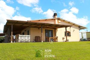 Tenuta agricola di 19 HA con B&B e kiwi | TR398