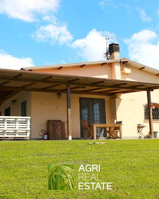 Tenuta agricola di 19 HA con B&B e kiwi | TR398