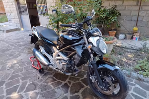 Suzuki Gladius 2011